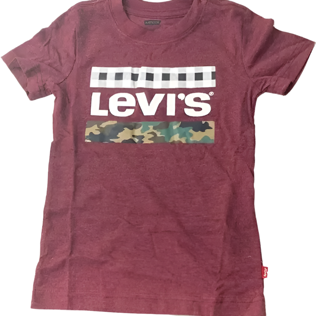 Youth, Levi’s Brand T-Shirts