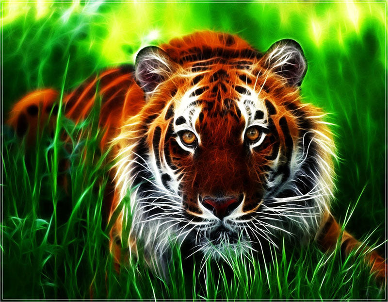 Diamond Paintings, Large 60cm x 80cm (23 5/8" x 31 1/2")