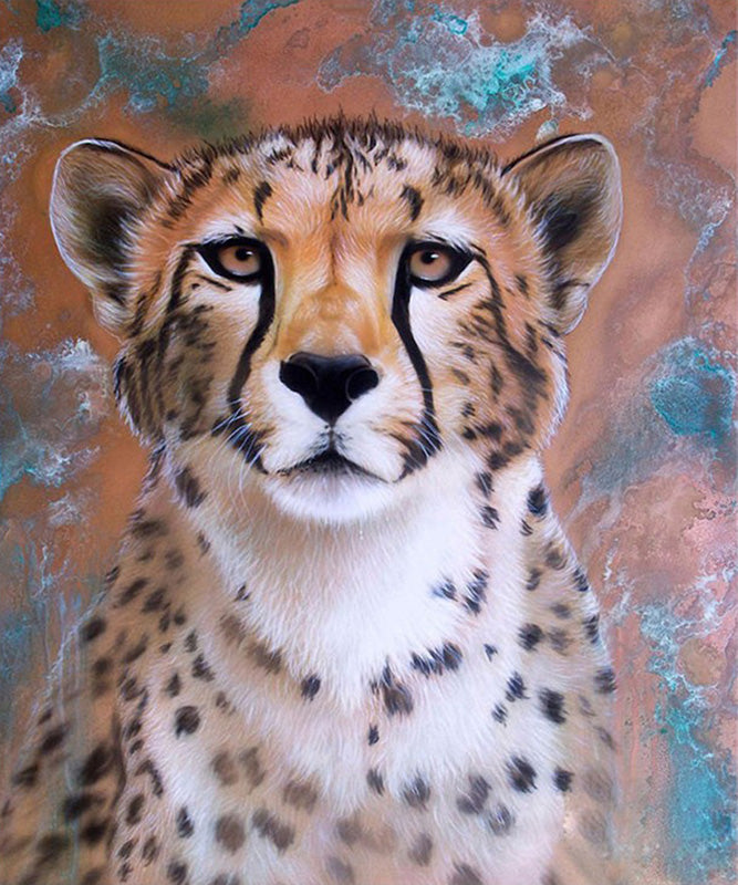 Diamond Paintings, Large 60cm x 70cm (23 5/8" x 27 9/16")