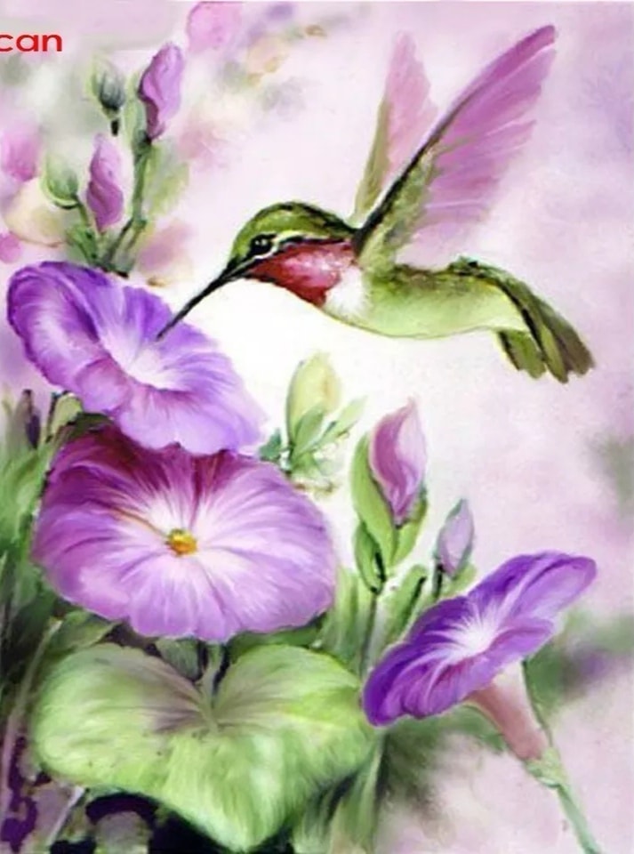 Diamond Paintings, Large 60cm x 80cm (23 5/8" x 31 1/2")