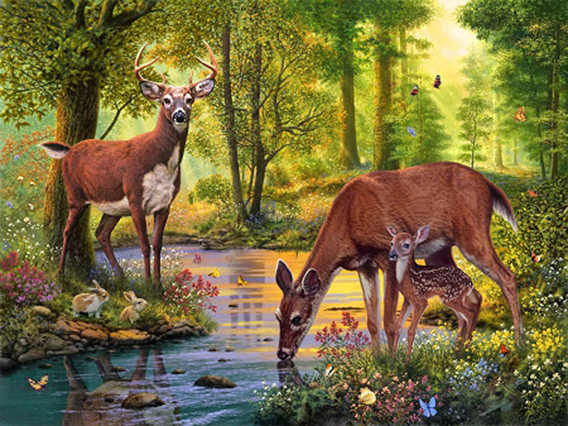 Diamond Paintings, Large 60cm x 80cm (23 5/8" x 31 1/2")