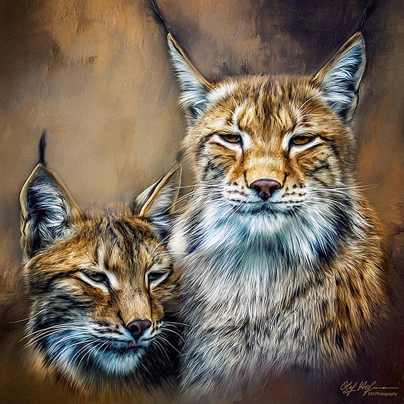 Diamond Paintings, Medium 60cm x 60cm (23 5/8" x 23 5/8")