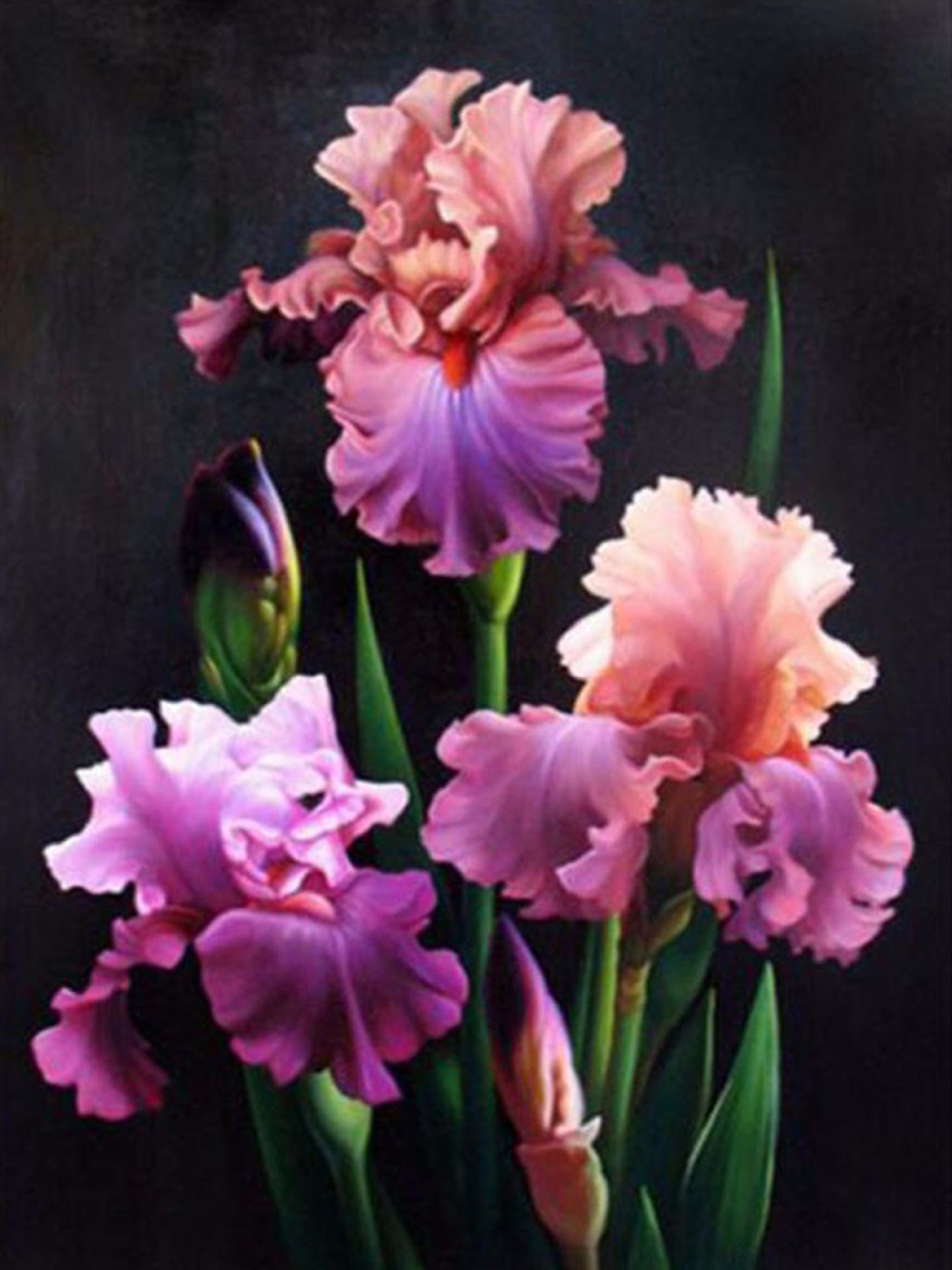 Diamond Paintings, Small 40cm x 50cm (15 3/4" x 19 2/3")