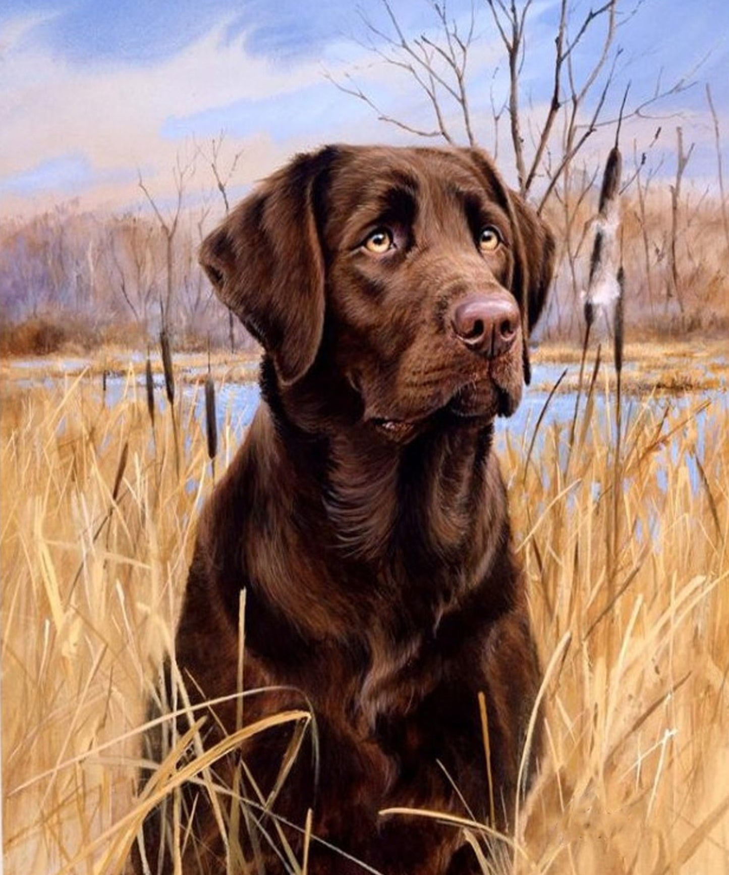 Diamond Paintings, Large 60cm x 70cm (23 5/8" x 27 9/16")