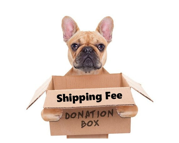 Direct Donation to Organization of the Week