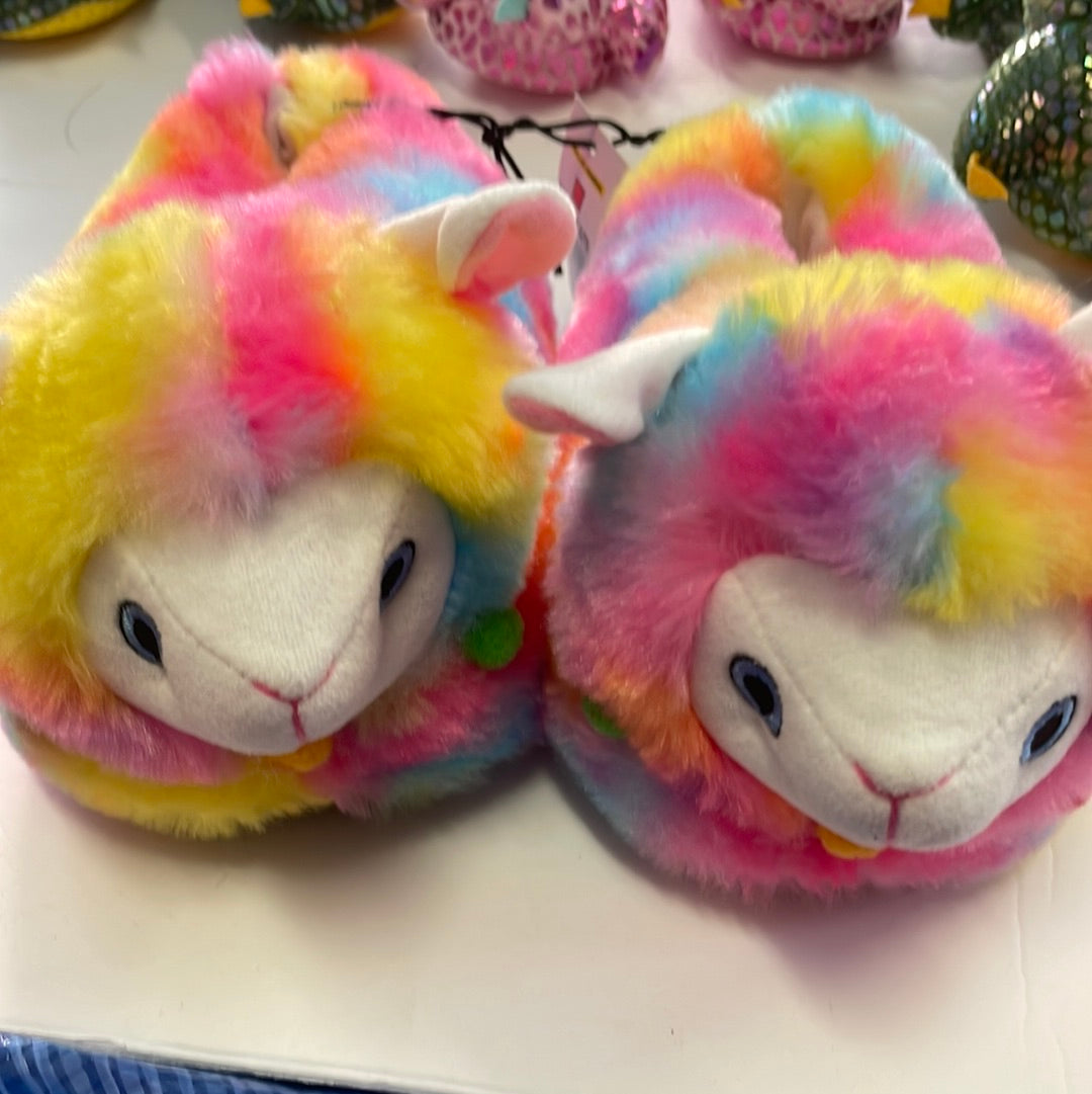 Youth Slippers