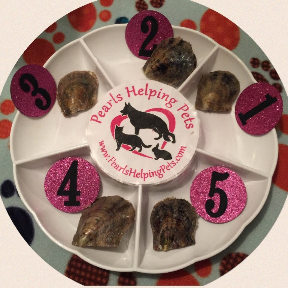 Small Oysters