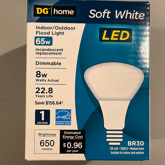 65 Watt LED Lightbulbs